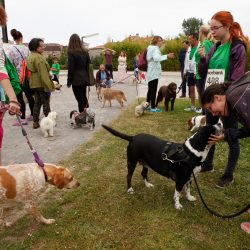 Fotos Carrera Solidaria con perros a favor de los enfermos neuromusculares